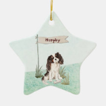 Nome personalizado Tri Color King Charles Spaniel
