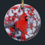 Ornamento De Cerâmica Norte Cardinal masculino, Winter, IL<br><div class="desc">Norte Cardinal (Cardinalis Cardinalis) macho em Common Winterberry (Ilex verticillata) no inverno,  Marion,  IL | Richard & Susan Day / DanitaDelimont.com</div>