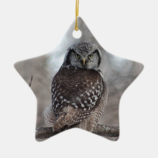 Ornamento De Cerâmica Norte Hawk Owl (Frente)