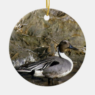 Ornamento De Cerâmica Norte Pintail Duck Amantes