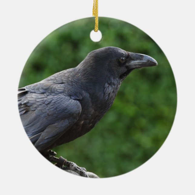 Ornamento De Cerâmica Norte Raven (Traseira)