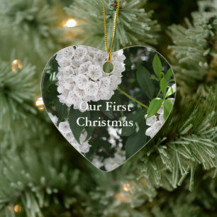 Ornamento De Cerâmica Nossas 1ª Flores de Natal de Laurel da Montanha Br