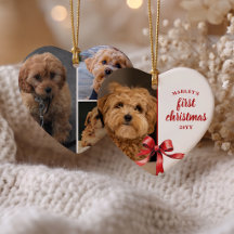 Nosso Primeiro Natal com Nosso Cachorrinho 4 Foto