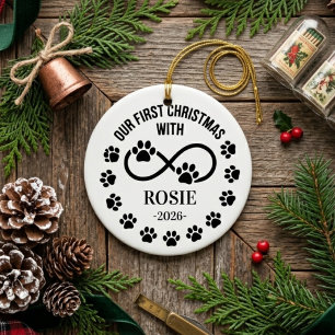 Ornamento De Cerâmica Nosso Primeiro Natal Pet Infinito Personalizado Ma