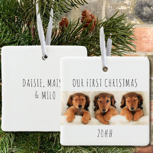 Ornamento De Cerâmica Nossos Primeiros Cachorrinhos de Natal Foto Panorâ