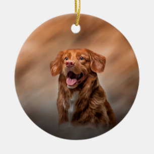 Ornamento De Cerâmica Nova Escócia, Retriever de Toleragem de Pato