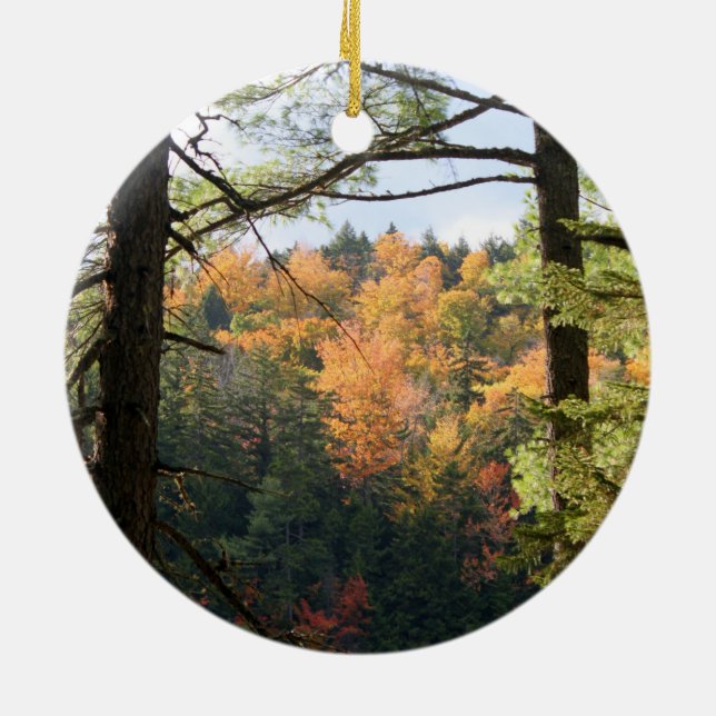 Ornamento De Cerâmica Nova Hampshire 7729 Ornament (Traseira)