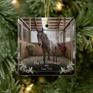 Ornamento De Cerâmica Novo Cavalo Primeiro Natal Foto Nome Ano Azevinho