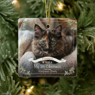 Ornamento De Cerâmica Novo Gato Meu Primeiro Natal Nome da Família Ano F