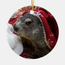 NOVO! Groundhog Carrie Christmas Ornamant 2