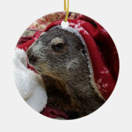 Ornamento De Cerâmica NOVO!  Groundhog Carrie Christmas Ornamant 2