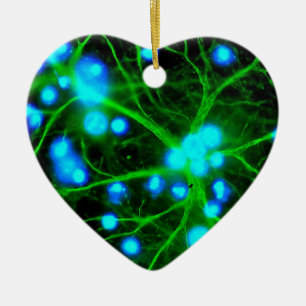 Ornamento De Cerâmica O Astrocyte é pilhas de Glial dadas forma estrela
