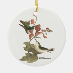 Ornamento De Cerâmica O beija-flor de garganta vermelha ou de garganta s