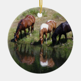 Ornamento De Cerâmica O Buraco de Água