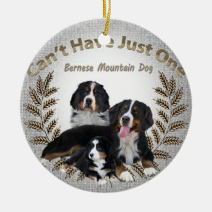 Ornamento De Cerâmica O cão de Bernese Mt. não pode ter apenas um