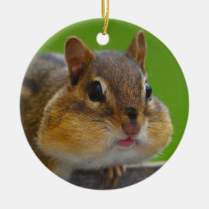 Ornamento De Cerâmica o chipmunk está completo