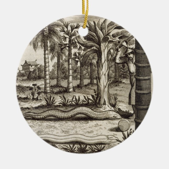 Ornamento De Cerâmica O cobra de pedra, de "China ilustrou" por Athan (Frente)