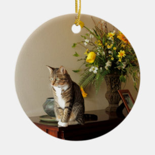 Ornamento De Cerâmica O gato de gato malhado preto de Brown que senta-se