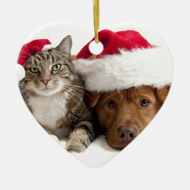 Ornamento De Cerâmica O gato e o cão desejam o Feliz Natal (Frente)