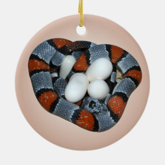 Ornamento De Cerâmica O kingsnake cinza-unido