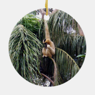 Ornamento De Cerâmica O Macaco Gibbon Está Por Aí,