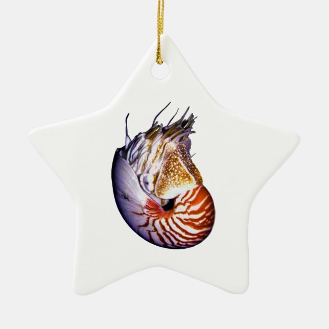 ORNAMENTO DE CERÂMICA O NAUTILUS SURPREENDENTE (Frente)