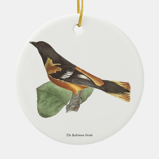 Ornamento De Cerâmica O Ouro ou Baltimore Oriole (Icterus galbula) (Frente)