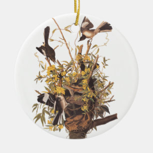 Ornamento De Cerâmica O pássaro de zombaria de Audubon