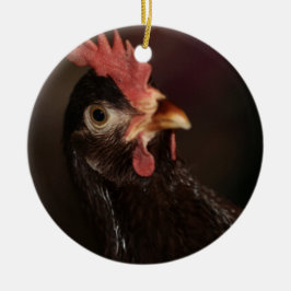 Ornamento De Cerâmica O quê?