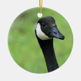 Ornamento De Cerâmica O quê?