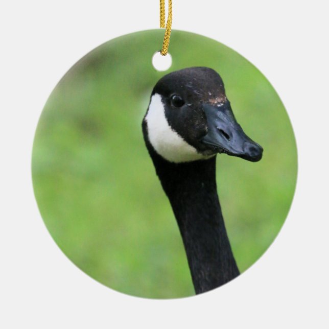 Ornamento De Cerâmica O quê? (Frente)