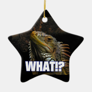 Ornamento De Cerâmica O quê? Iguana