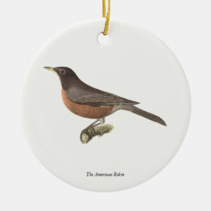 Ornamento De Cerâmica O Robin Americano (Turdus migratorius) NY Birds