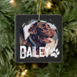 Ornamento De Cerâmica O simples nome Legal e foto de Pet<br><div class="desc">Esta design simples e moderna é composta por uma tipografia moderna e simples de escrita lúdica. Adicione uma foto personalizada do seu cão,  gato,  filhote ou gatinho</div>