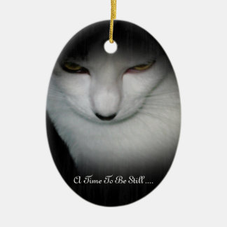 Ornamento De Cerâmica O tempo de Shakira ser ainda Ornament…