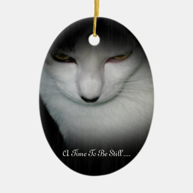 Ornamento De Cerâmica O tempo de Shakira ser ainda Ornament… (Frente)