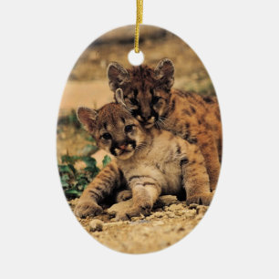 Ornamento De Cerâmica O tigre Cub ornament