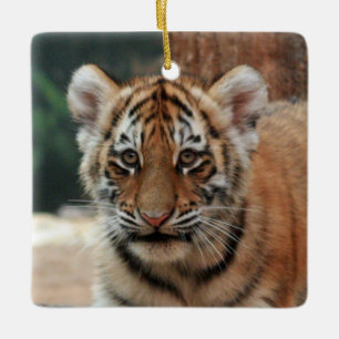 Ornamento De Cerâmica O tigre Cub Ornament