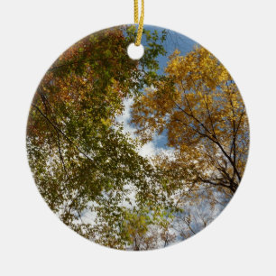 Ornamento De Cerâmica Olhando para as Folhas de Outono II Natureza de Ou