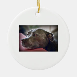 Ornamento De Cerâmica Olhos de amor de Pitbull