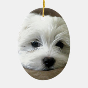 Ornamento De Cerâmica Olhos do filhote de cachorro