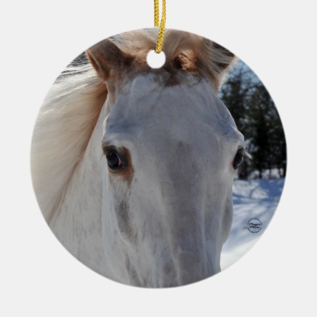 Ornamento De Cerâmica Olhos Roan vermelhos do cavalo (Frente)