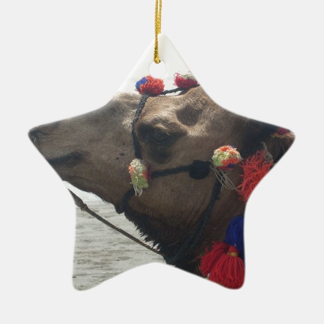 Ornamento De Cerâmica Oman Muscat Camel Photo Art Impressão (Frente)