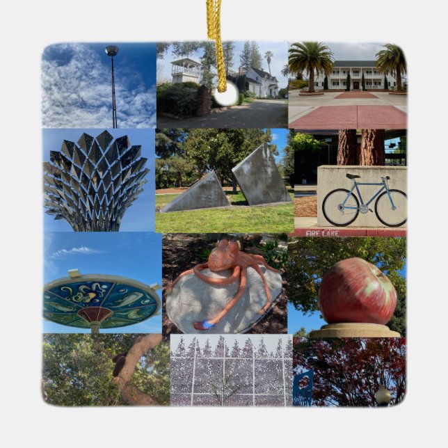 Ornamento De Cerâmica Onde em Sunnyvale? (Frente)