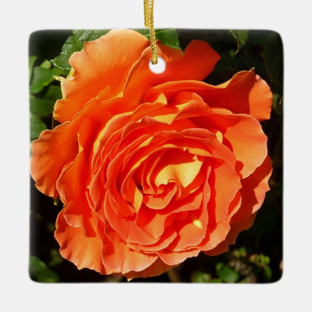 Ornamento De Cerâmica Orange Rosa I Bonito Floral (Frente)