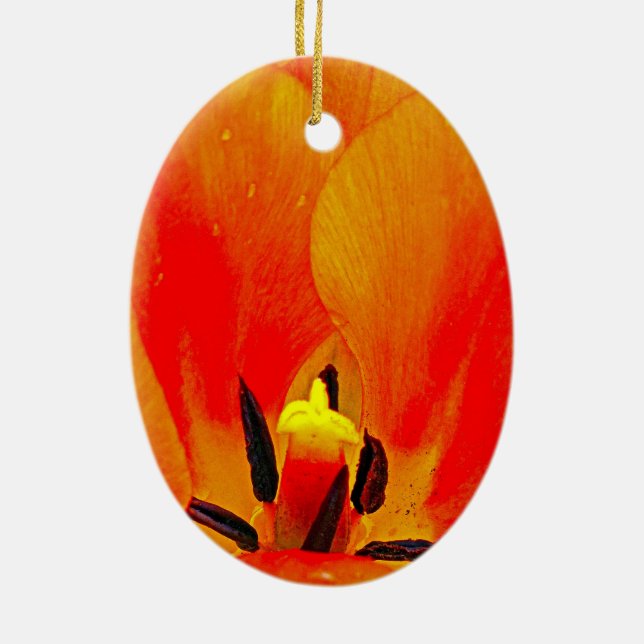 Ornamento De Cerâmica Orange Tulip (Verso)