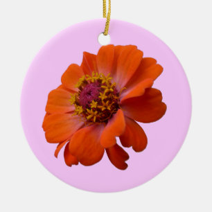Ornamento De Cerâmica Orange Zinnia Wildflower Nature Floral