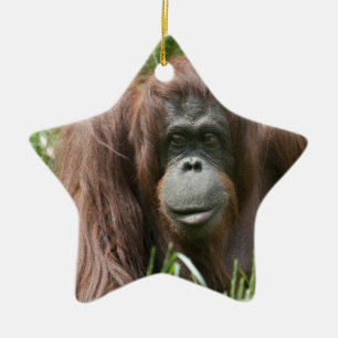 Ornamento De Cerâmica Orangutan
