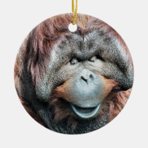ORNAMENTO DE CERÂMICA ORANGUTANOS