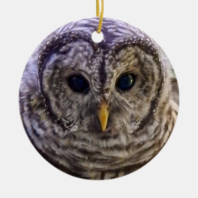 Ornamento De Cerâmica Ornament Barred Owl (Frente)